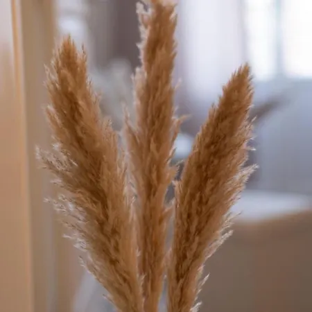 Cosy, Moderne, Central, Standing Apartment Saint-Etienne (Loire)