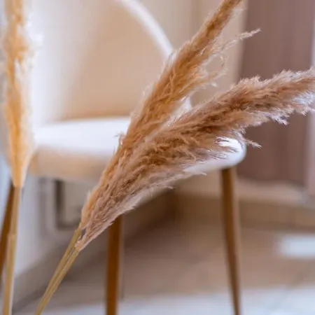 Apartment Cosy, Moderne, Central, Standing Saint-Etienne (Loire)